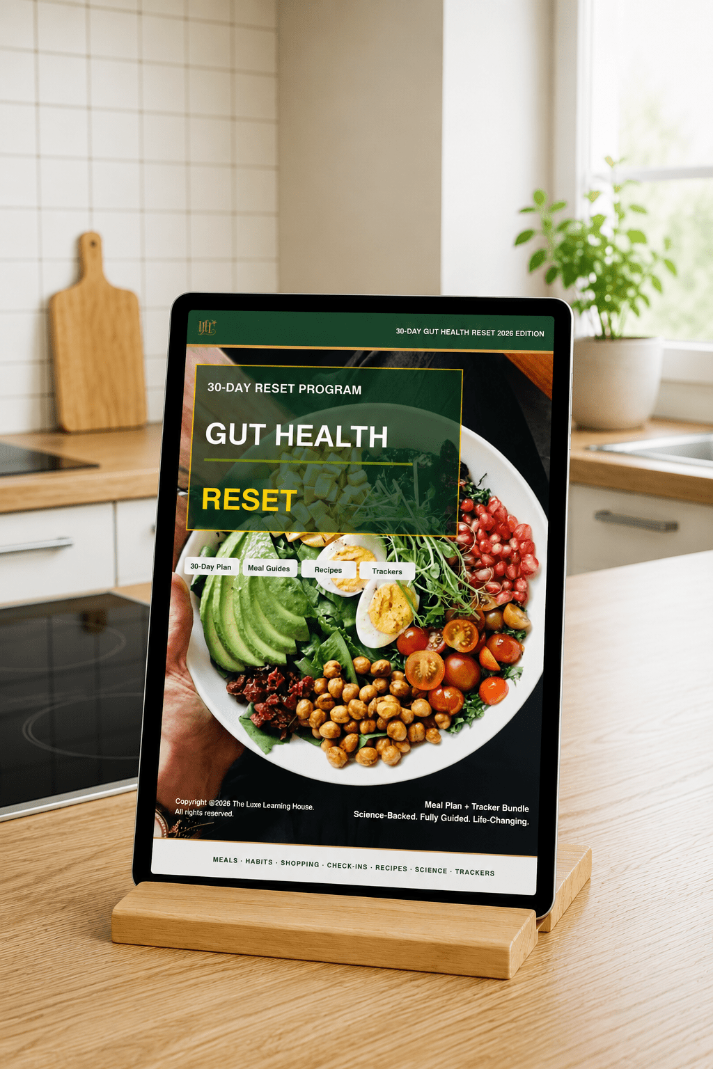 5 Signs Your Gut May Be Out of Balance (And What You Can Do About It) - The Luxe Learning House