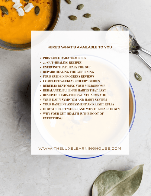 30-Day Gut Health Reset — Meal Plan + Tracker Bundle - The Luxe Learning House